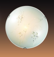 Настенно-потолочный светильник  SONEX  TRAUBE 104